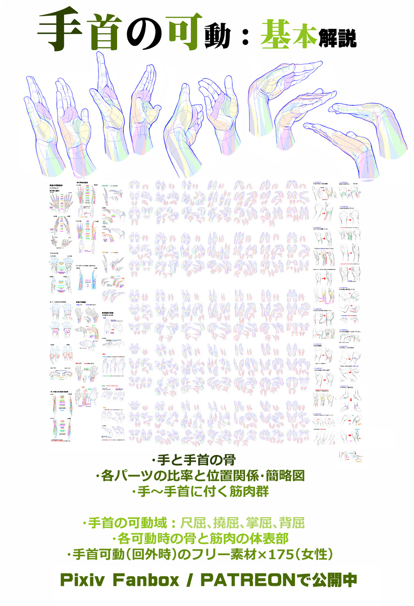 个人笔记: 桡骨茎状突起