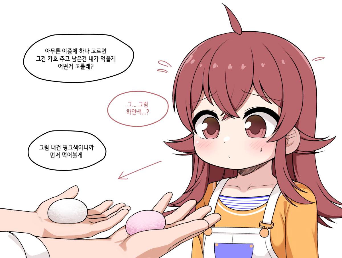 카 호