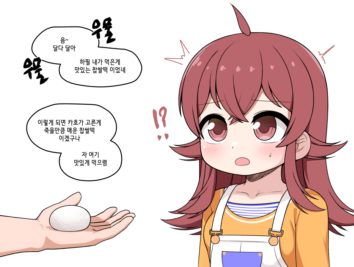 카 호