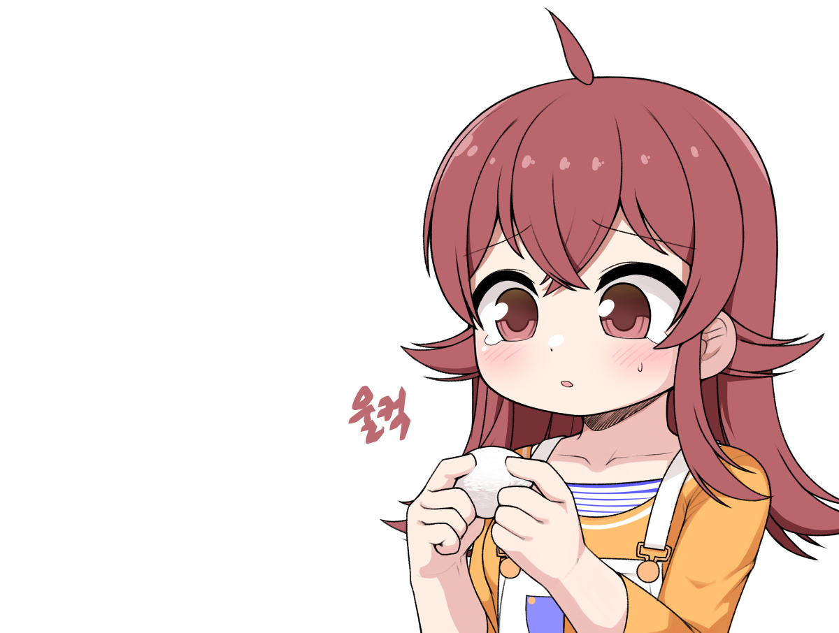 카 호