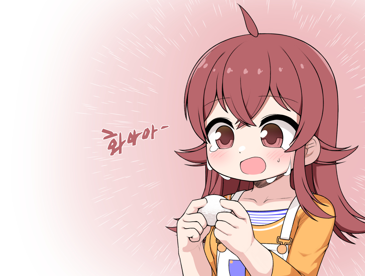 카 호