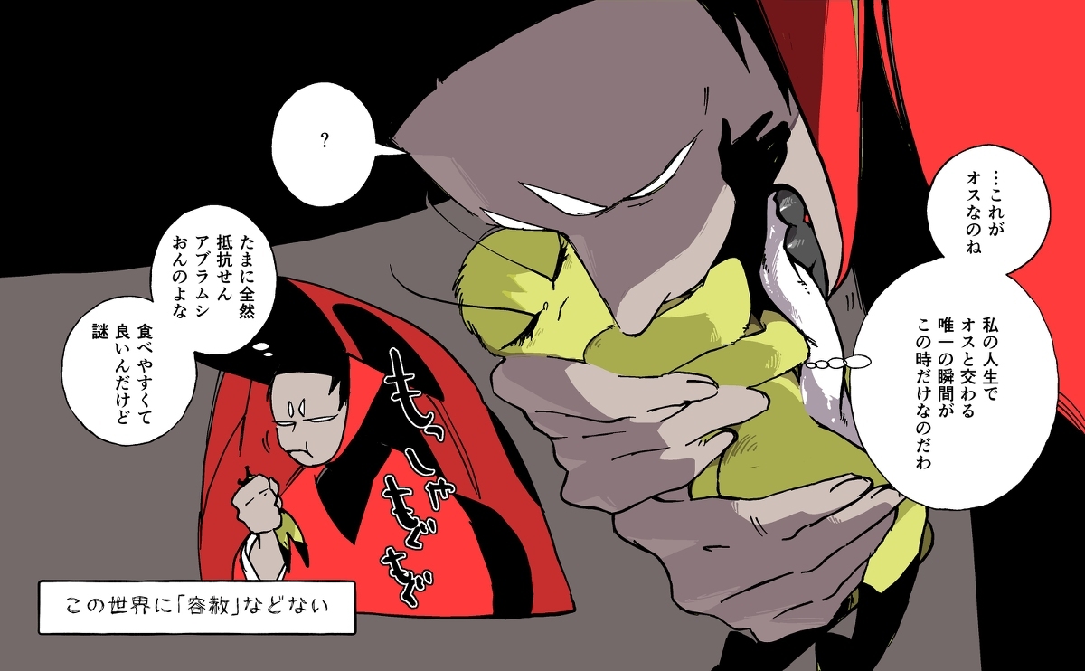 寄生蜂和瓢虫先生