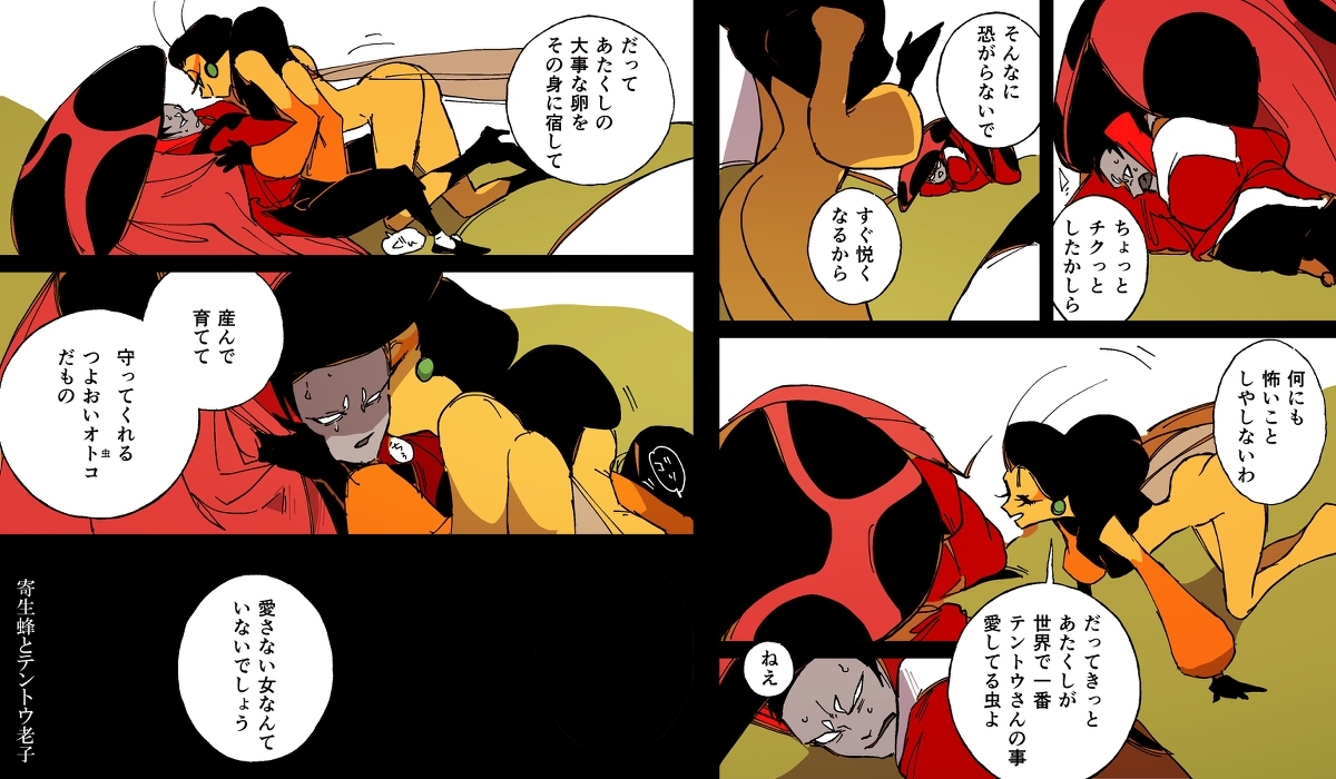 寄生蜂和瓢虫先生