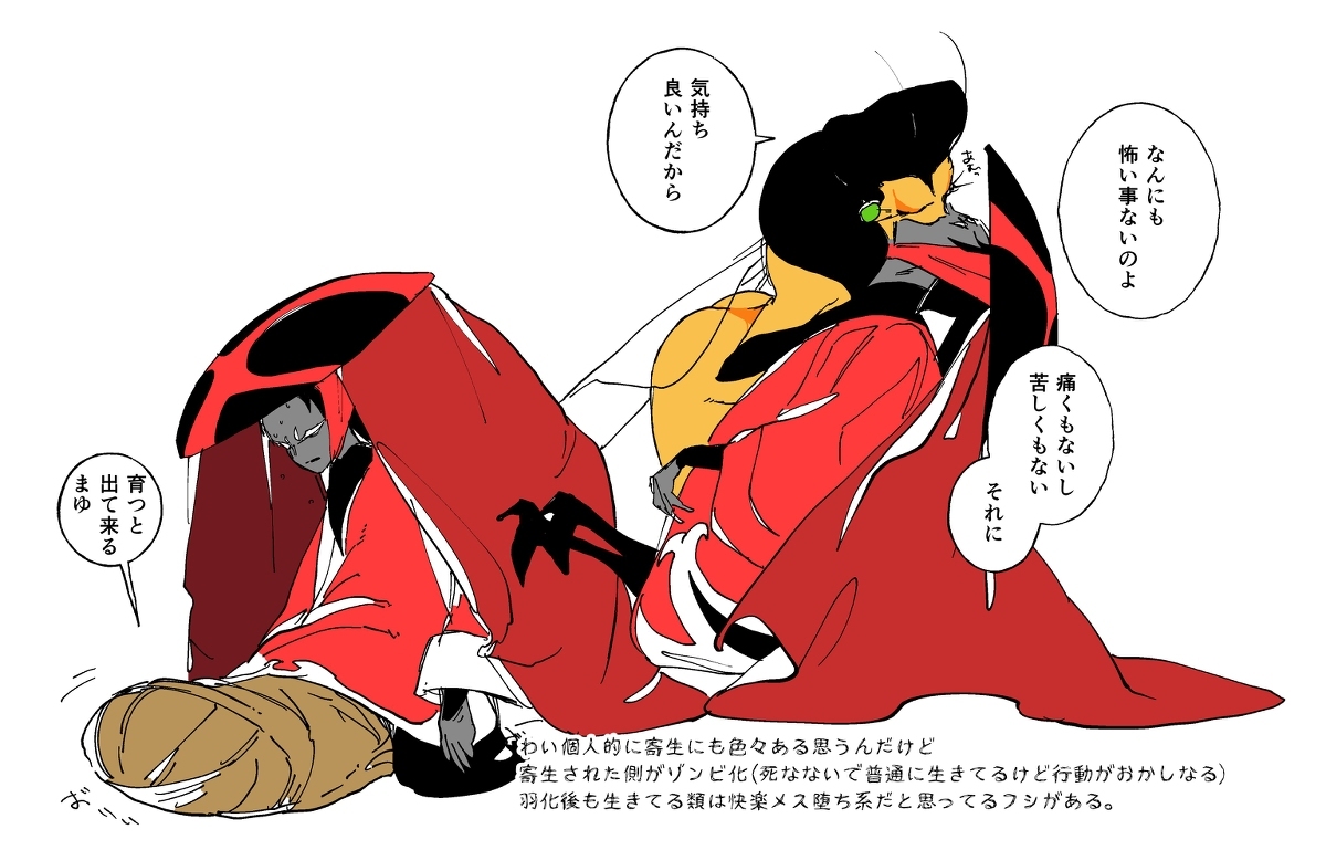 寄生蜂和瓢虫先生