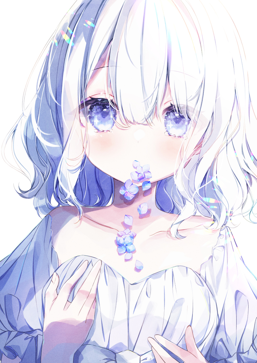 紫阳花