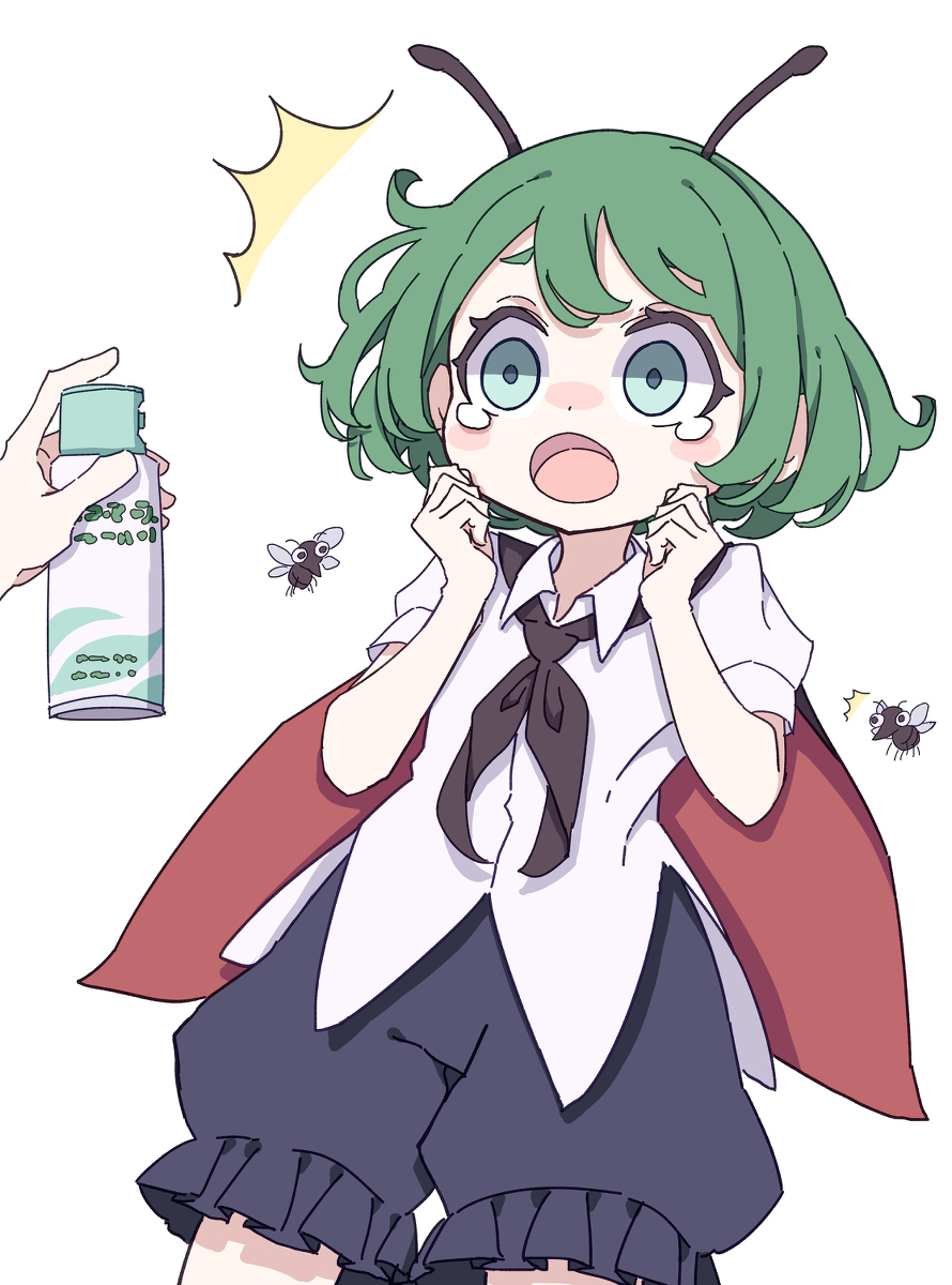 里格尔