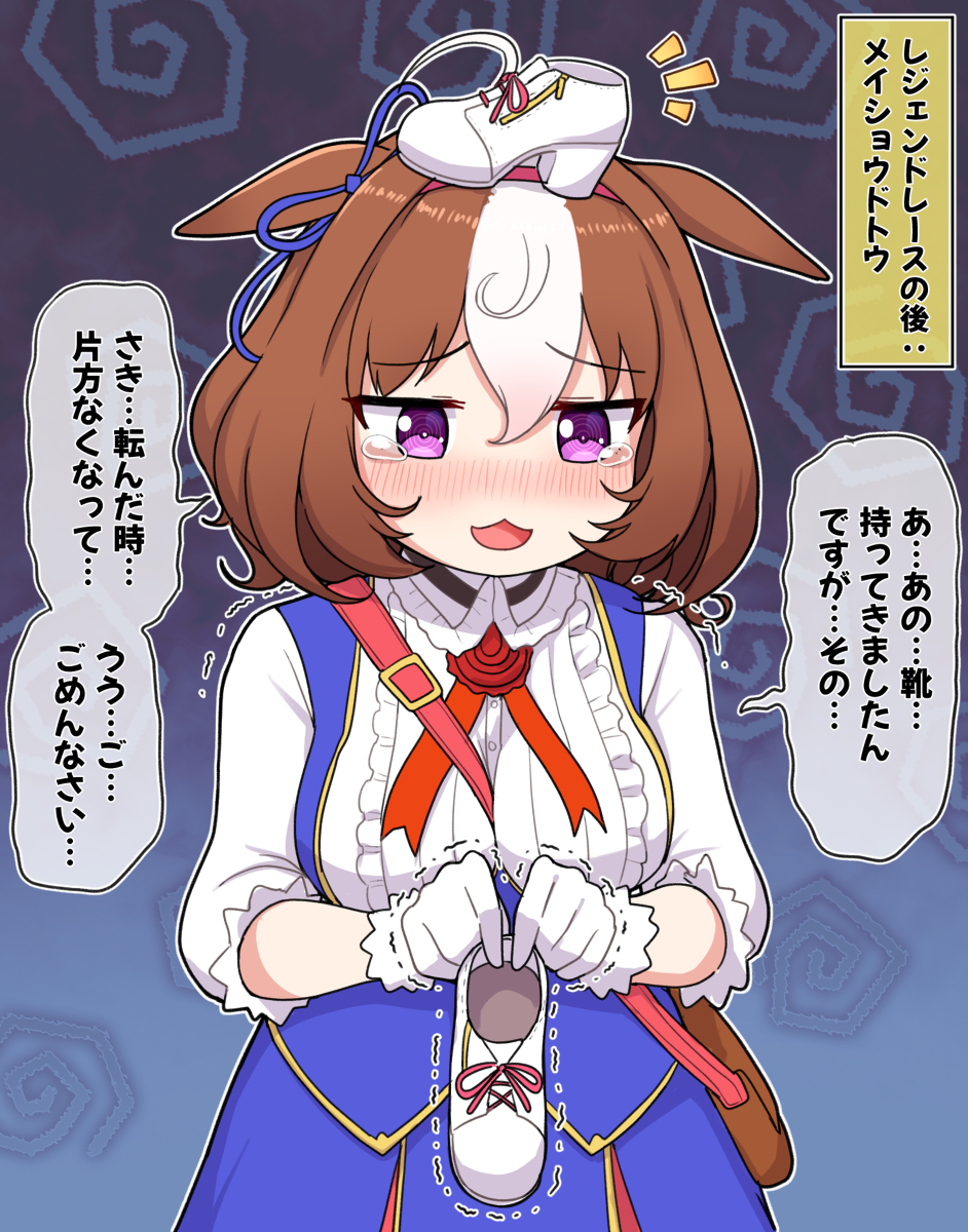 雷根德赛之后: 梅肖杜乌