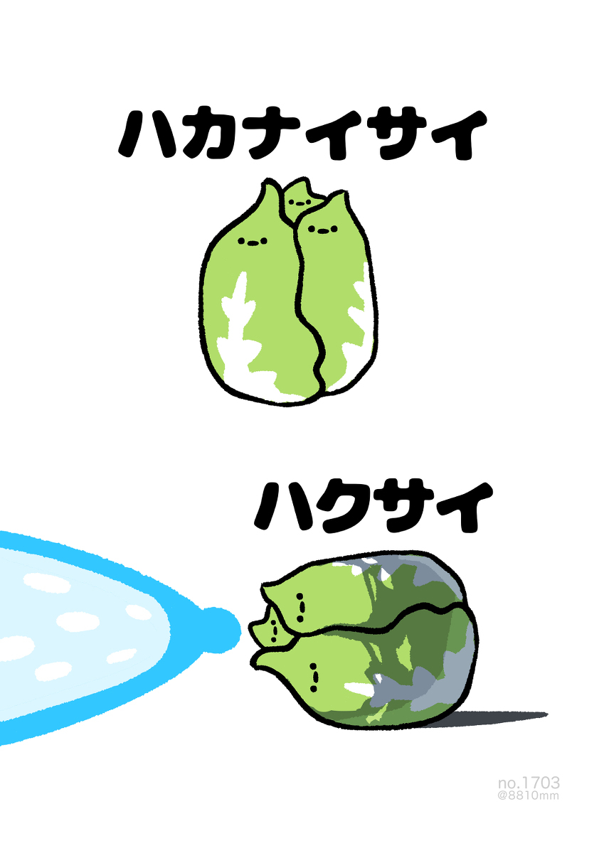 No.1703《白菜》