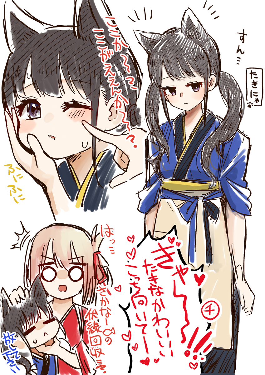 狸猫是猫