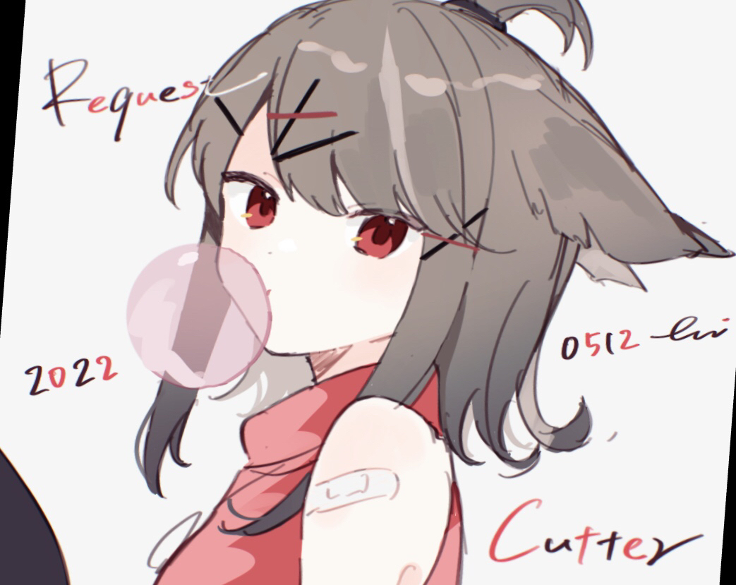 电弧骑士