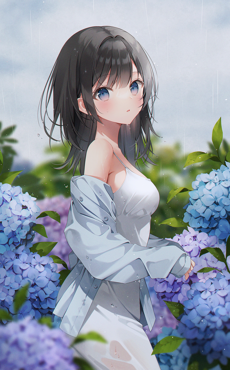 绣球花