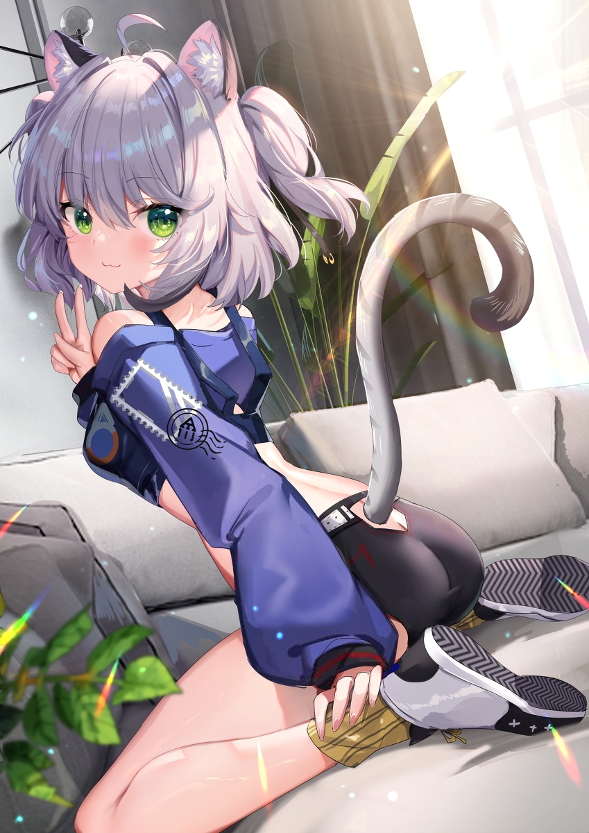 猫猫