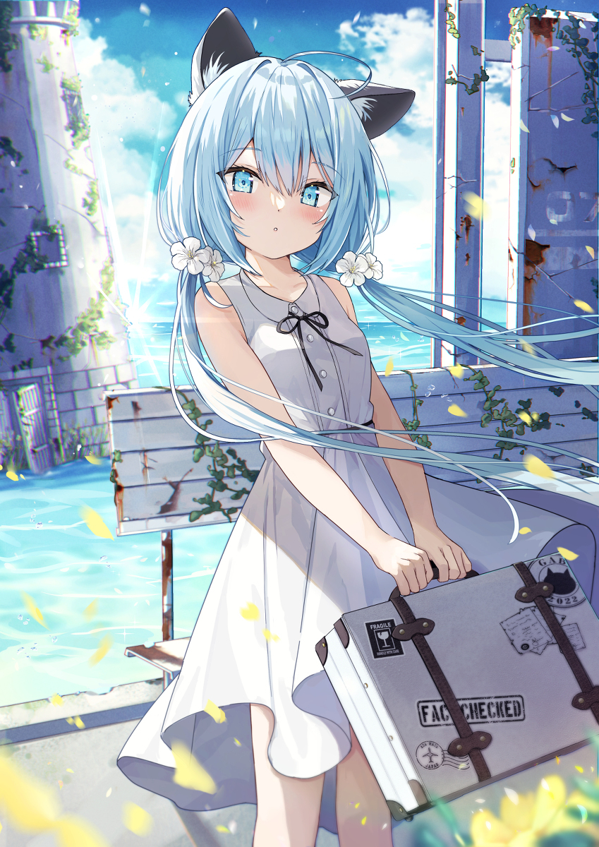 旅行的猫