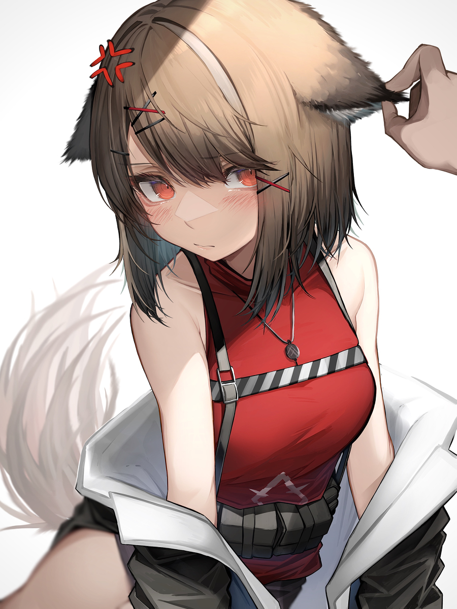 刀具