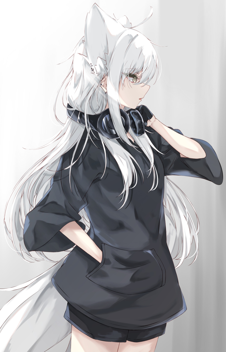 野兽