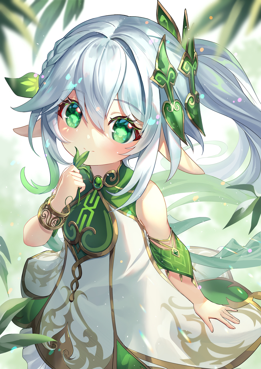 纳希达