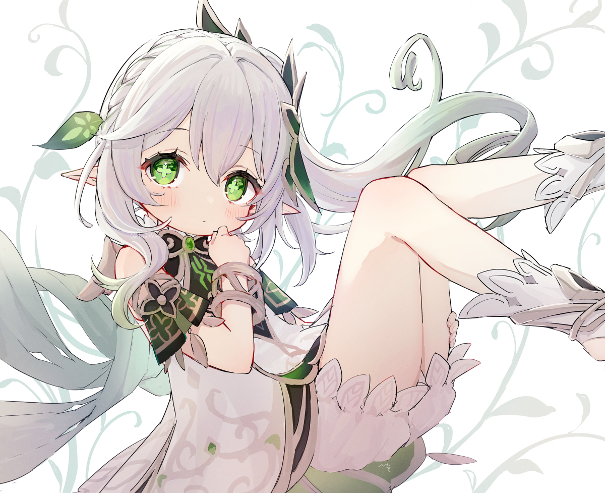 纳希达