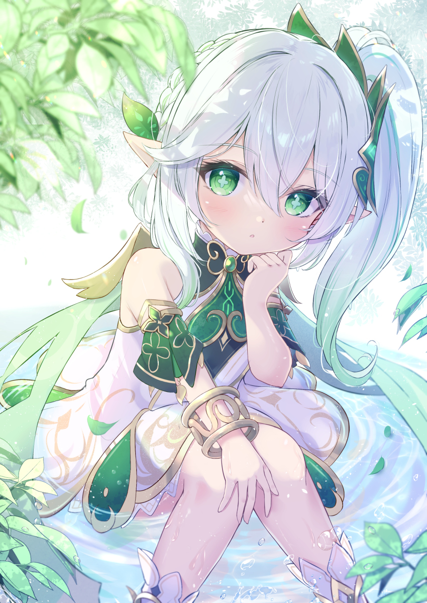 纳希达