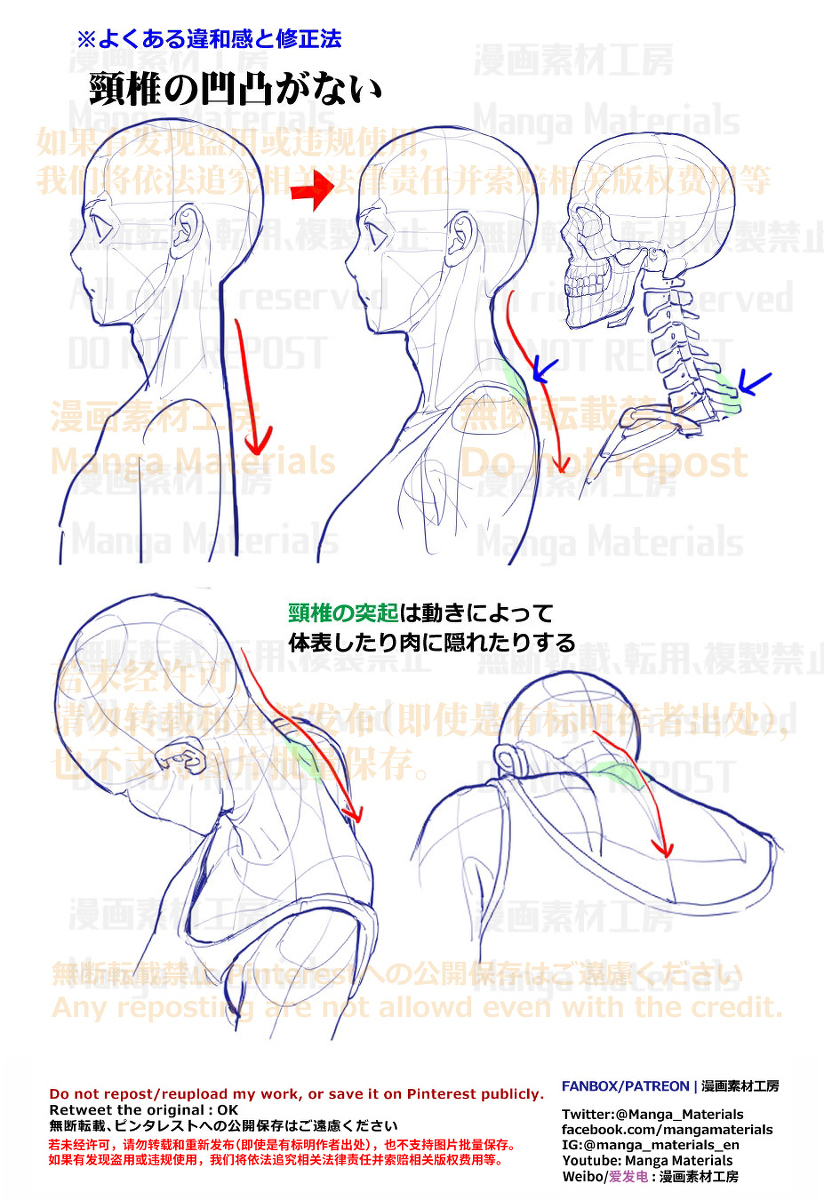 个人笔记: 从脖子到背部的凹凸不平