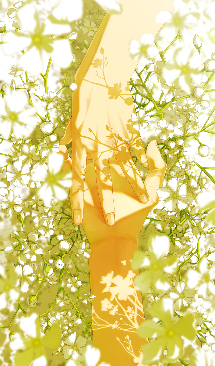 分享