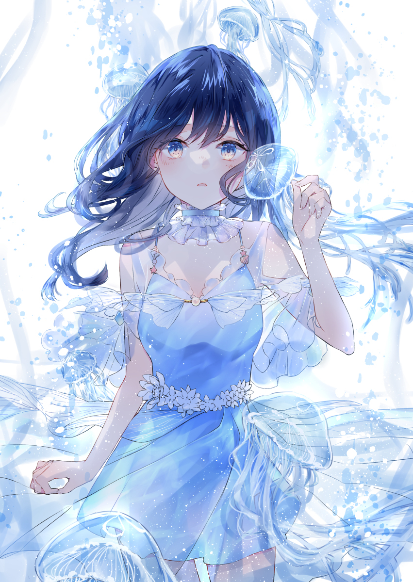 海月姬