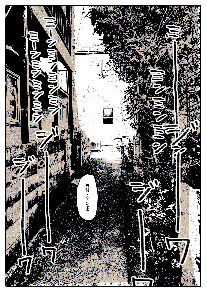 怪谈总结