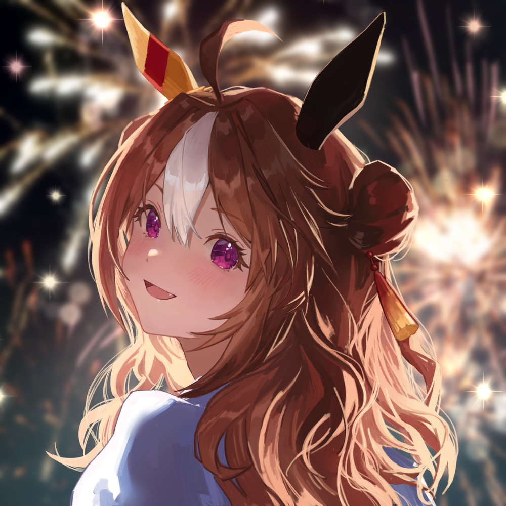 与科帕诺里奇的夏祭