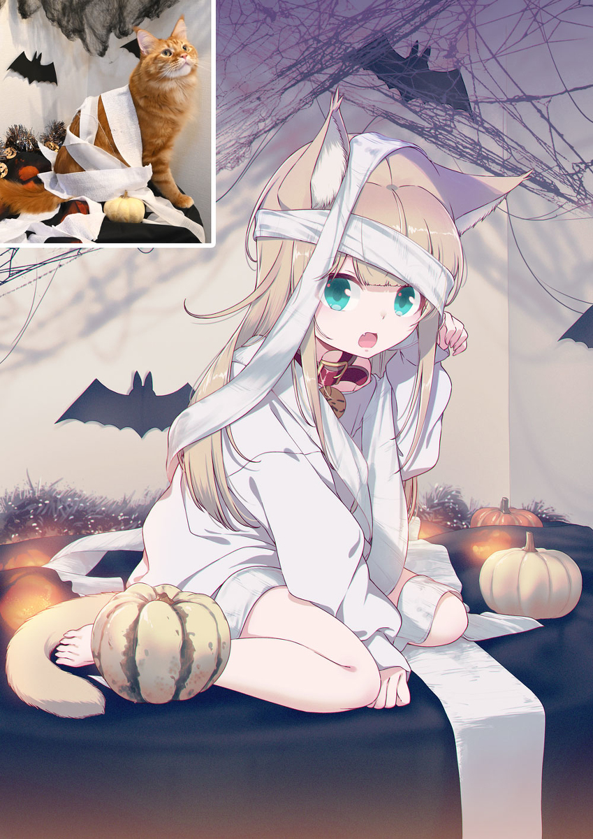 🦇👻Happy Halloween🎃🐾
