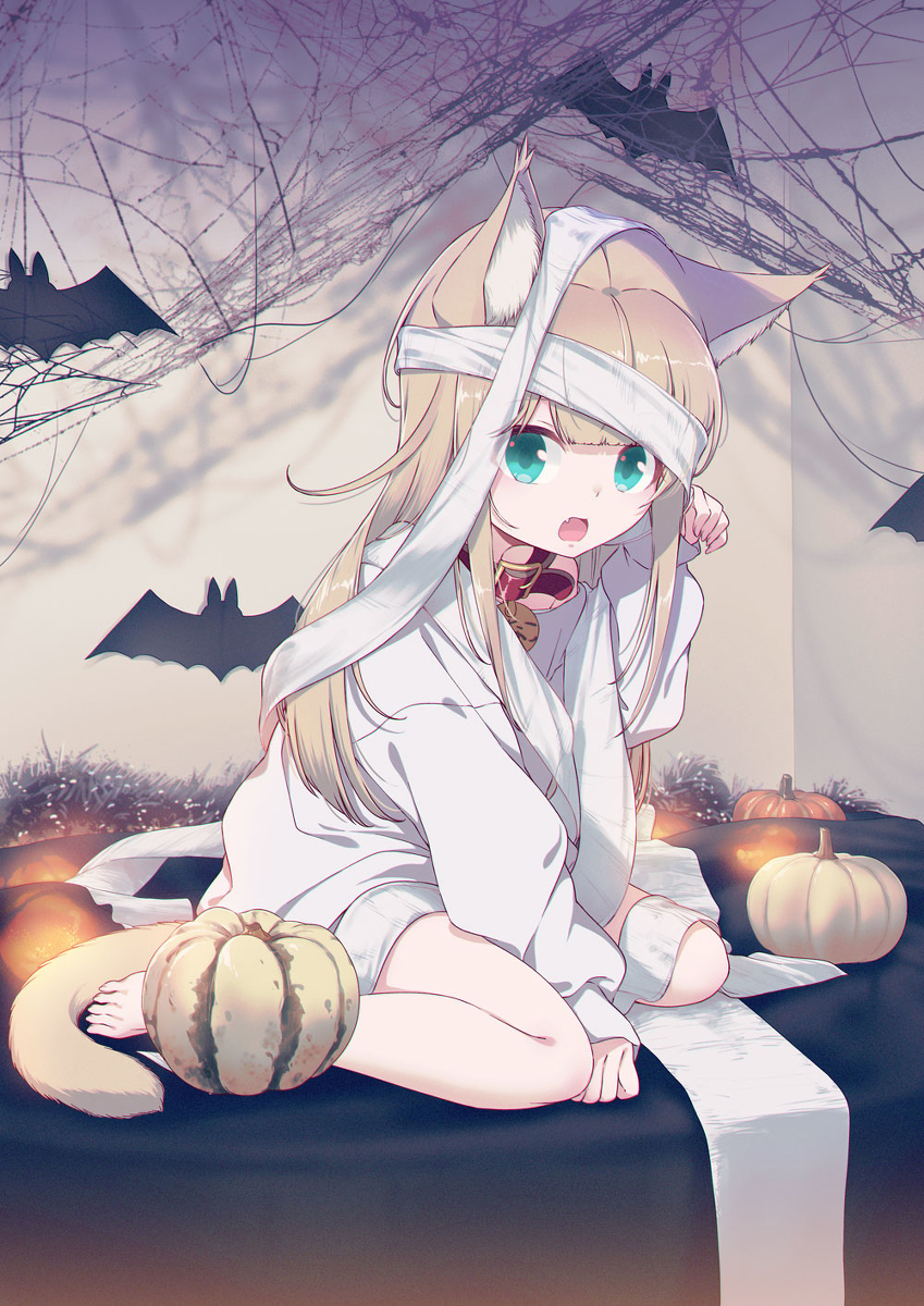 🦇👻Happy Halloween🎃🐾