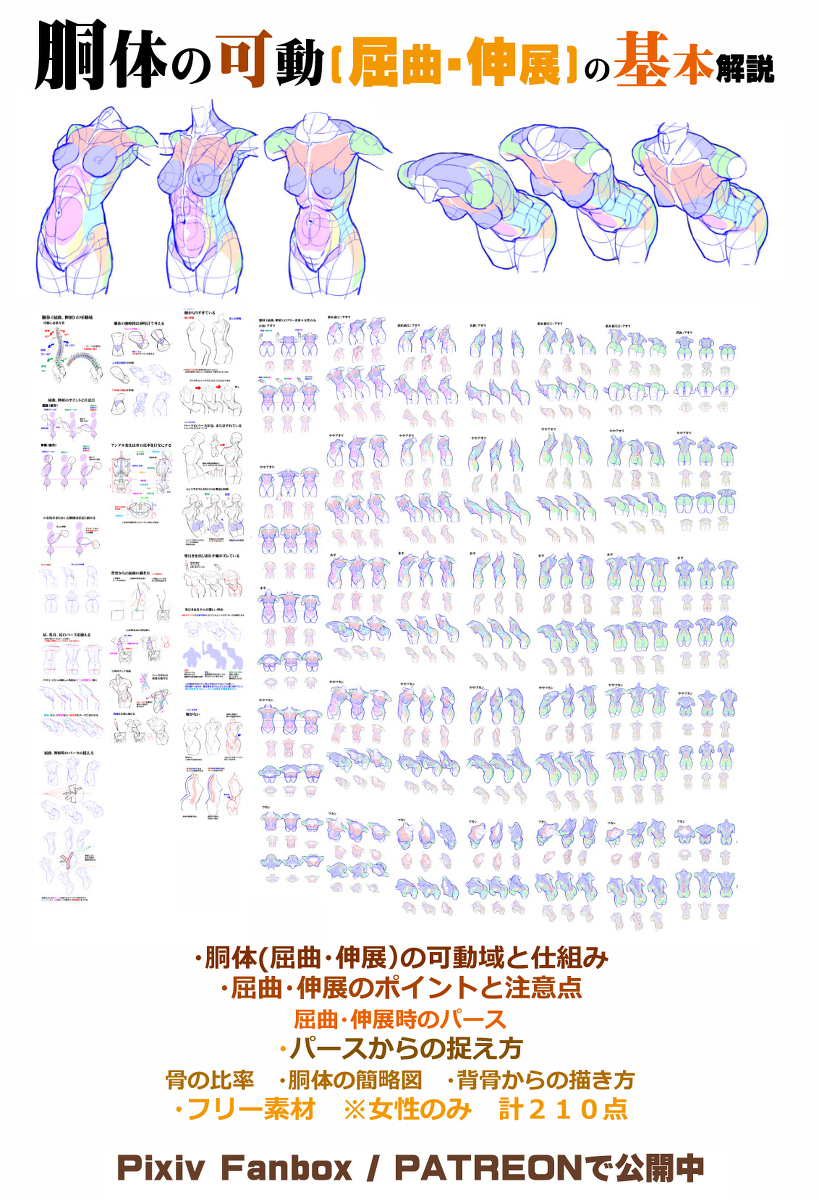 个人笔记: 躯体弯曲、伸展时常见的不协调感