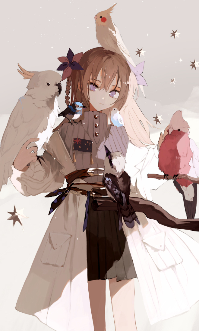 第44天/parrot etc