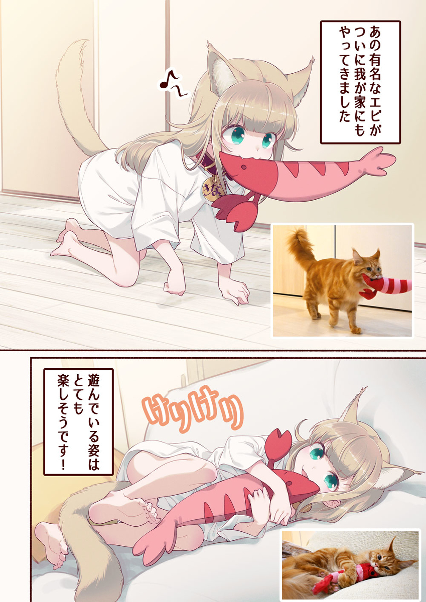 虾和蘑菇🐈🐾