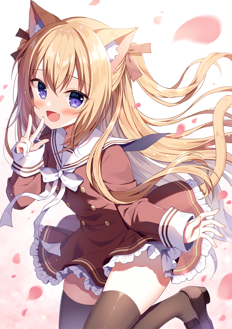 猫耳 ✿