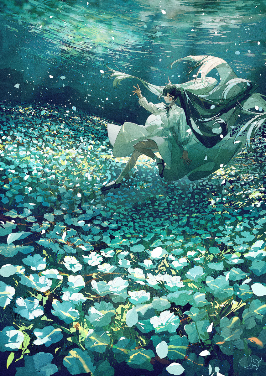 水底花圃