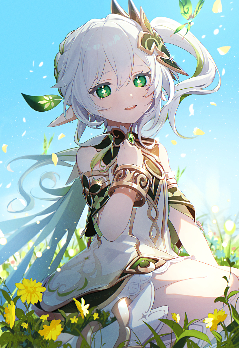 纳希达