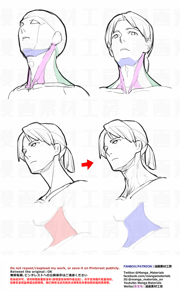 個人メモ：首の付き方