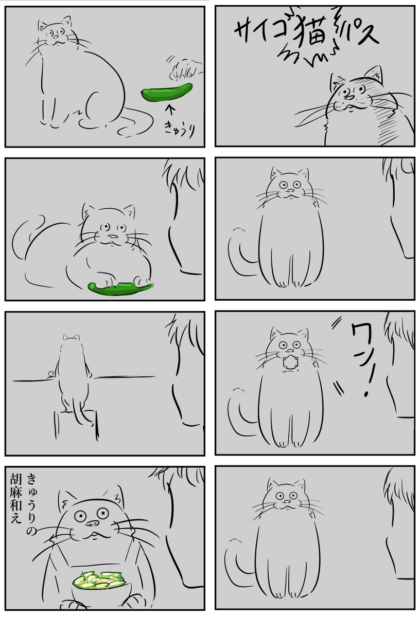 骰子猫传球。