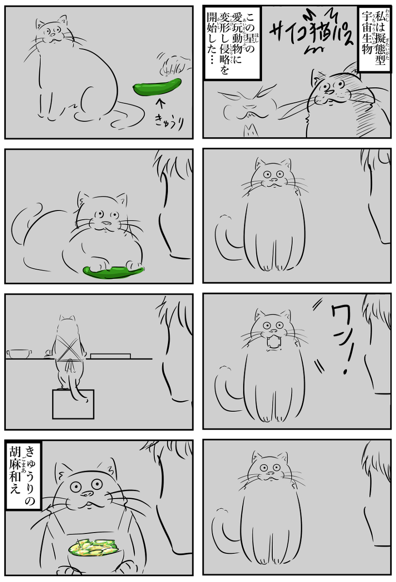 骰子猫传球。
