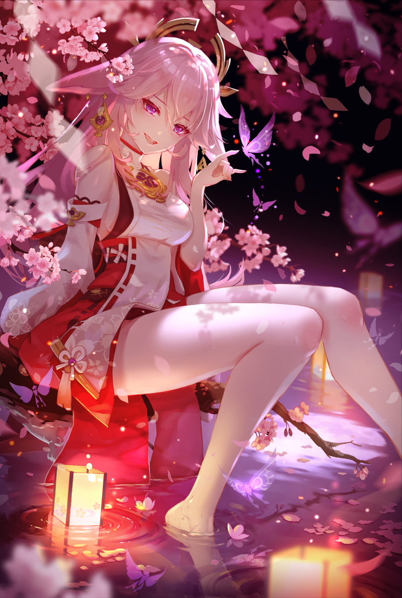 樱花春烂