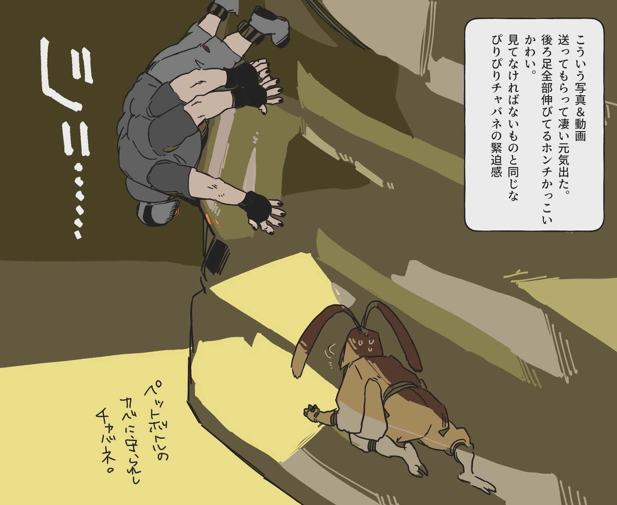 G增加了