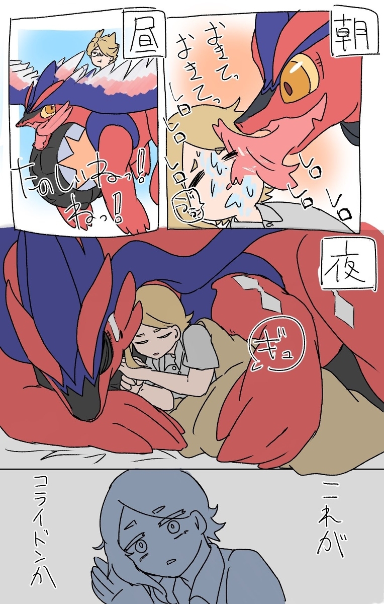 科莱登总结