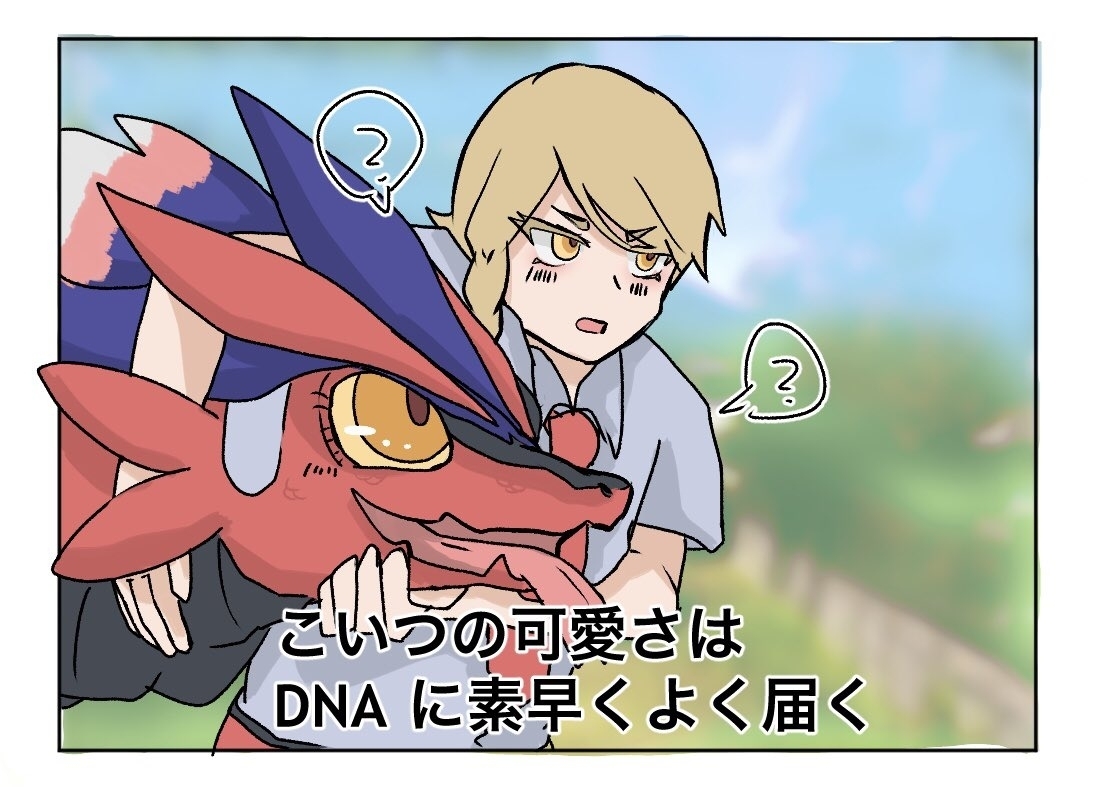 科莱登总结