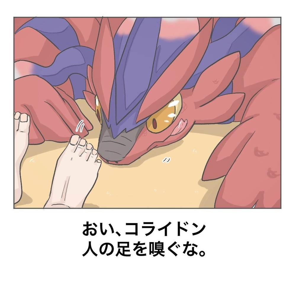 科莱登总结
