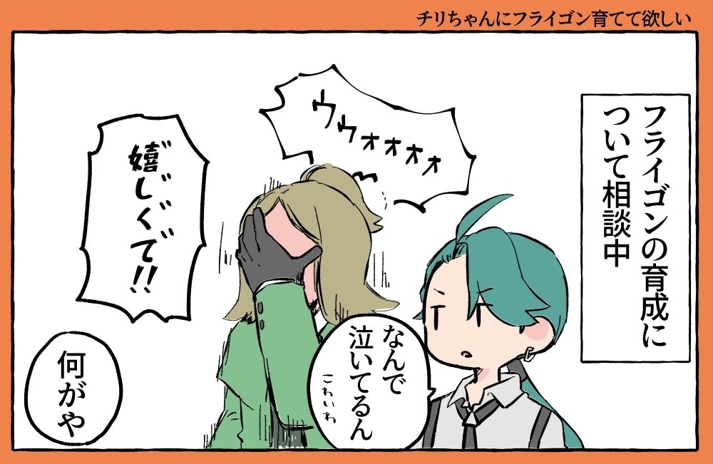 口袋装
