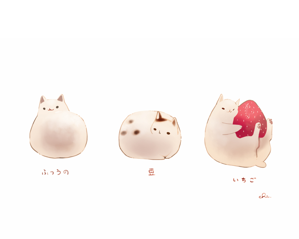 大福猫