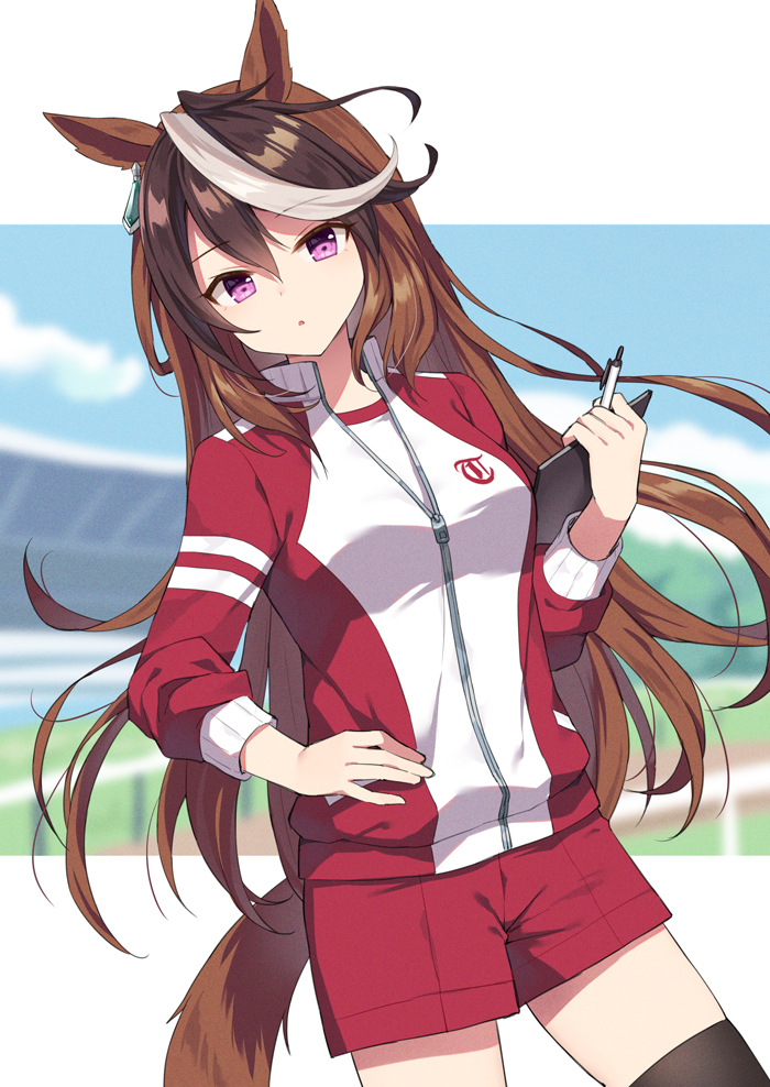 马娘总结