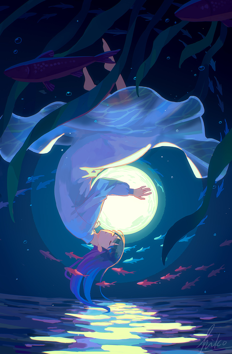 宁静的海洋