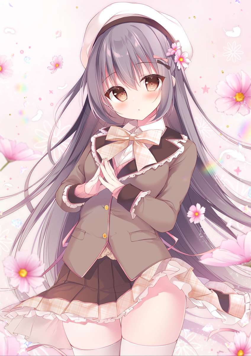波斯菊