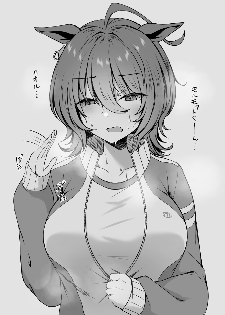 紫阳花总结