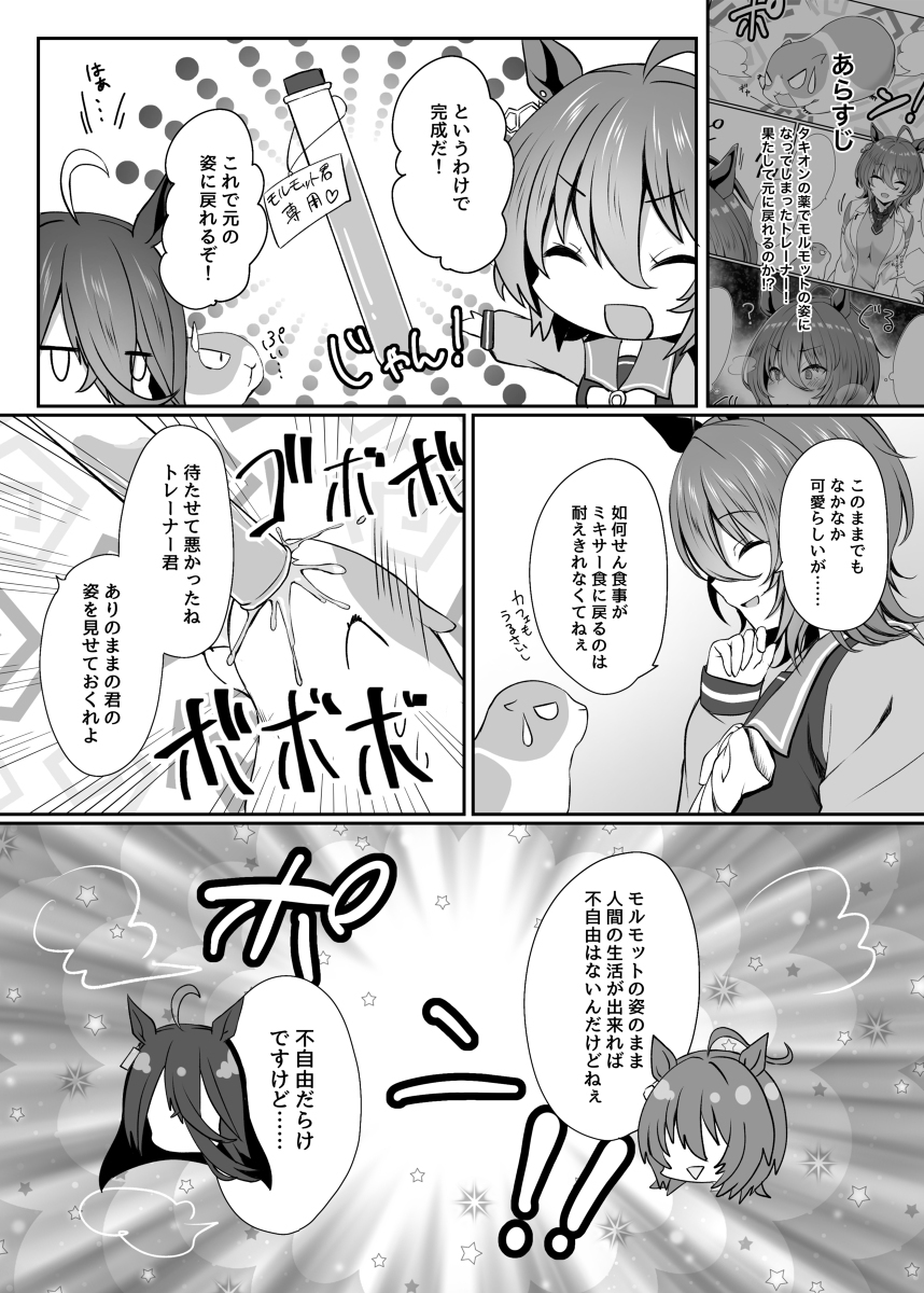 紫阳花总结
